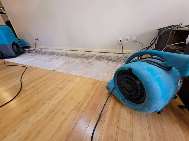 Professional Structural Drying technician working in Spring Dale, WV